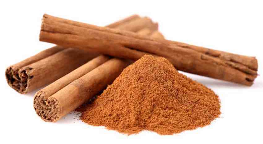 produit repulsif pour chat